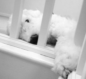 What are you stairing at?