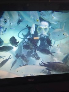 rebecca scuba 2