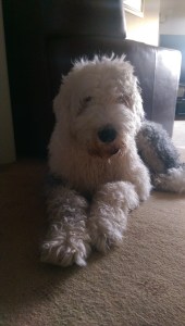 post bath march 2015