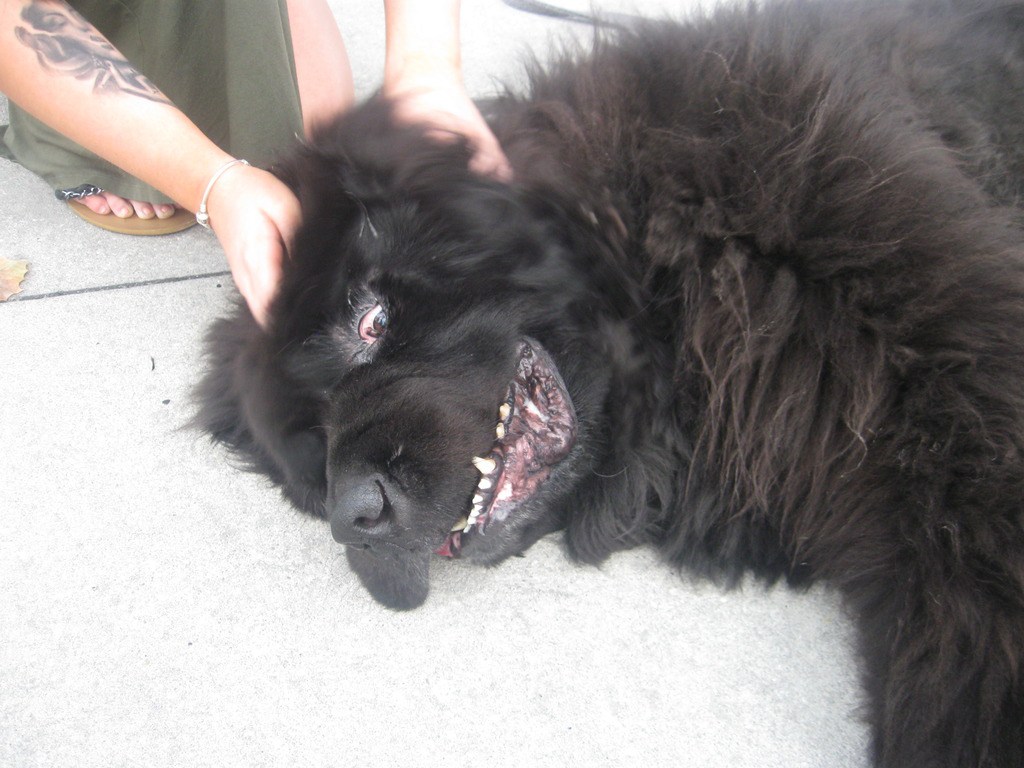 img_4298_zpsju4qwtzj