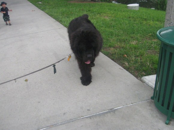 img_4301_zpske7dd5gt